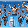 Impact of mildronate dihydrate on athletes' muscle recovery