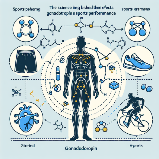 Effects of gonadotropin on sports performance