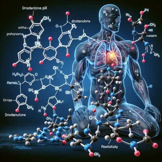 Metabolites of drostanolone pillole and their activity